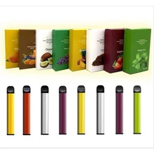 Disposable Vape 600 Puffs Pod System E Cigarette