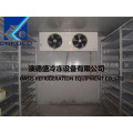 Kaltes Zimmer Produkt Restaurant Cold Storage Room Hotel Cold Room