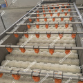 Brush type washing machinery for Pineapple