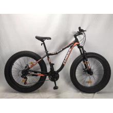 Fat Bike Beach Cruiser