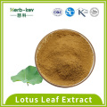 Lotus Leaf Alkali Solid Drink Lotus Leaf Powder