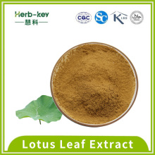 Lotus Leaf Alkali Solid Brink Lotus Feuille Poudre