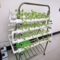 Innenwachstumskit NFT Hydroponic System