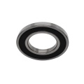 DW 6000-Z high temperature bearing for Steel