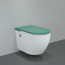 Elongated Toilet Bidet Water Saving Smart WC Intelligent Toilet