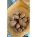 2016 neue Ernte Fresh Potato Shandong