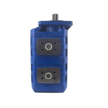 CBG micro double hydraulic oil dual gear pump