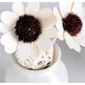 Aceites aromáticos con difusor de flores de tarro de cerámica