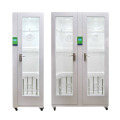 Double Door Endoscope Disinfection Storage Cabinet