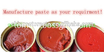 830g Tomato Paste