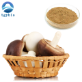 Lentinus Edodes Extract Capsules Shiitake Mushroom Extract