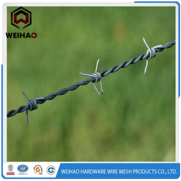 Hot Dipped Galvanized And Pvc Coated Barbed Wire