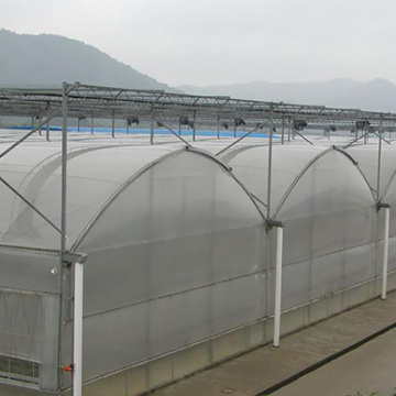 Large Plactic Greenhouse For Vegetable Flowers