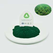 Suppléments nutritionnels naturels en poudre d&#39;extrait de chlorella