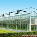 Venlo Glass Greenhouse for Vegetables or Flowers