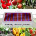 Full Spectrum 600W LED Grow Light for Flowering Plant and Hydroponics System LED Plant Lamps AC85~265V