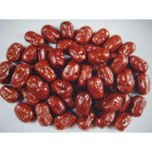 Organic Date, Chinese Date, Sweet Jujube, Dried Jujube Fruit