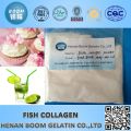 fish collagen peptide