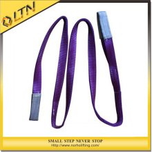 Light Lifting Equipment Polyester Webbing Sling (NHWS-A)