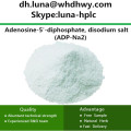 CAS: 16178-48-6 ADP-Na2 /Adenosine-5-Diphosphate Disodium Salt