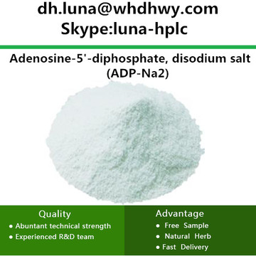 CAS: 16178-48-6 Sel Disodique ADP-Na2 / Adénosine-5-Diphosphate