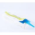 High Elastic Medical Disposable Tube Tourniquet