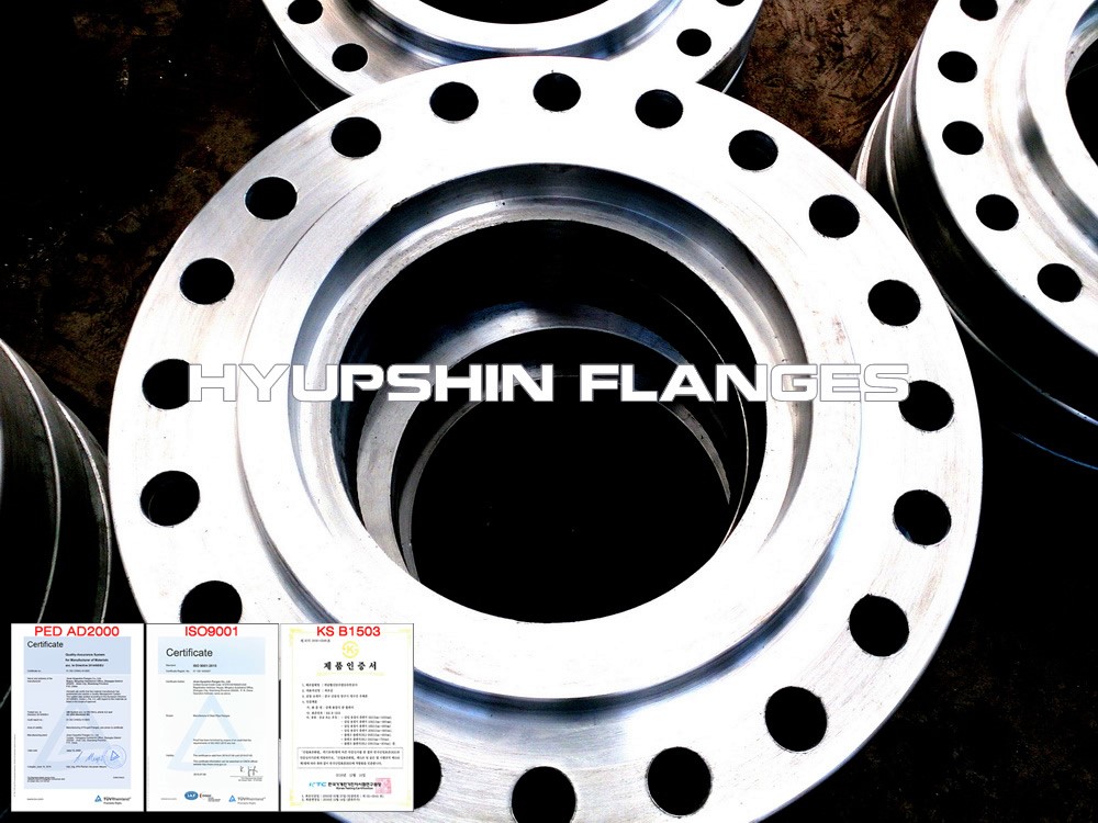 Hyupshin Flanges Socked Weld Sw Rf