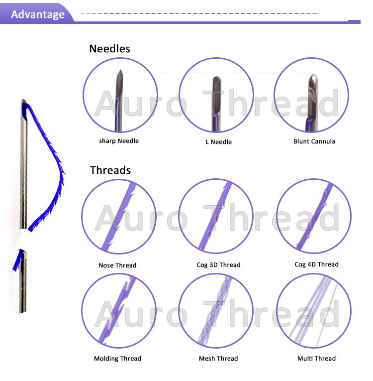 Absorbable Sutures Pdo