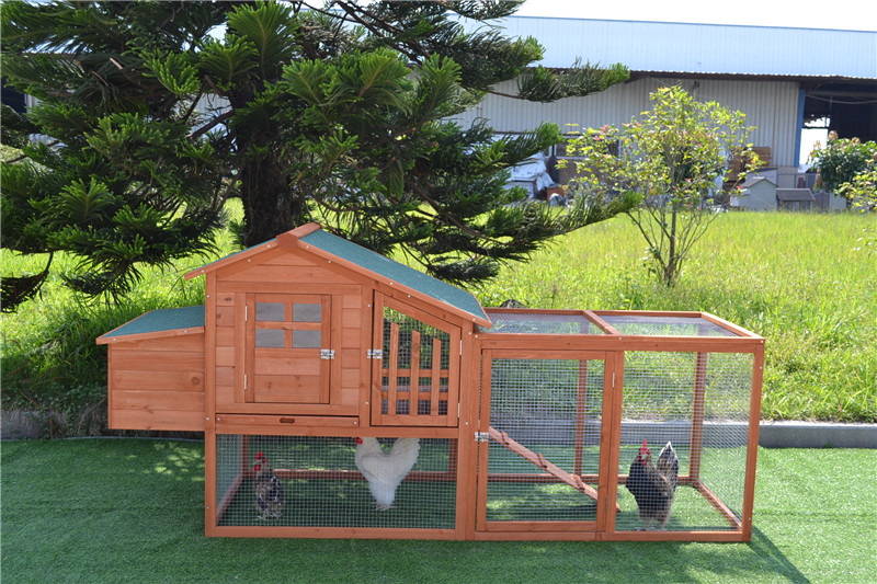 big chicken coop