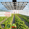 Hocheffizientes 640W LED Grow Light