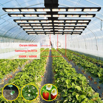 Grow Light bandes LED 600W pour plantes