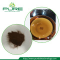 Black tea extract for hair loss