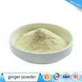 Buy online natural organic ginger powder price