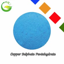 Sulfate de cuivre pentahydraté