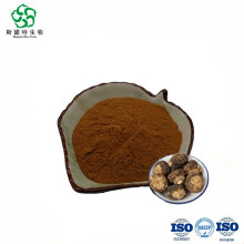 black maca root extract powder