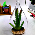 transparent glass bubble round shape Hanging Glass Terrarium