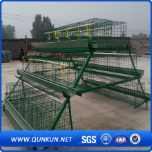 High Quality Plastic Chicken Cage for Sale