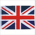 Hot Sale all country polyester National Flags