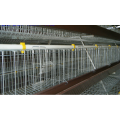 H type automatic broiler cage system