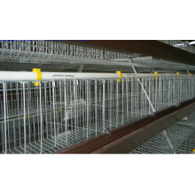 H type automatic broiler cage system
