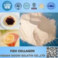 Marine collagen