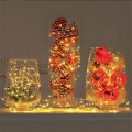 Waterproof Warm White Mini Fairy LED Copper Lights