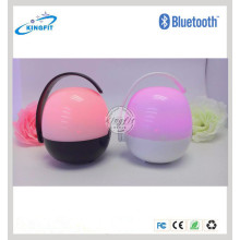 Bluetooth FM Radio Speaker Mini LED Speaker