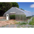 Single Span Plastic House Tunnel Greenhouse