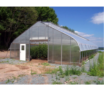 Green de serre en poly tunnel en serre hydroponique