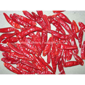 New Crop Dried Red Chilli