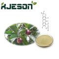 Alpha mangostin powder mangosteen extract