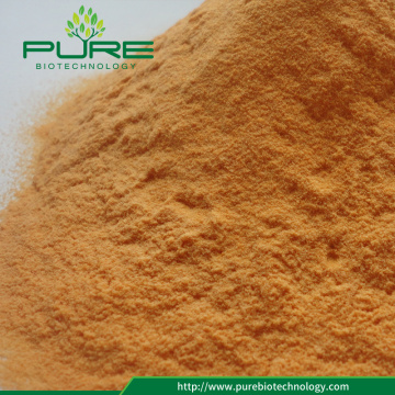 Natural wolfberry juice powder/ Goji fruit juice powder