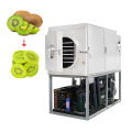 Strawberry Vacuum Freeze Drying Machine