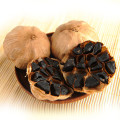 Good Taste Fermented Black Garlic 6 Cm Bulbs